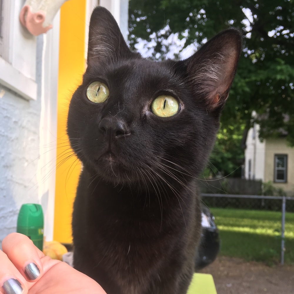 Meet your Posher, Sara